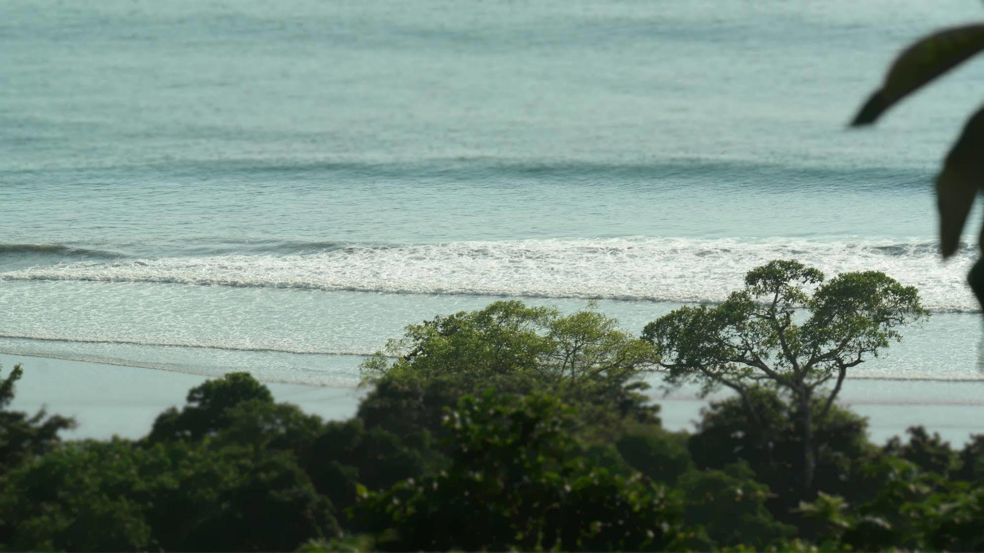 Ranchos Remo Lodge Uvita Buitenkant foto