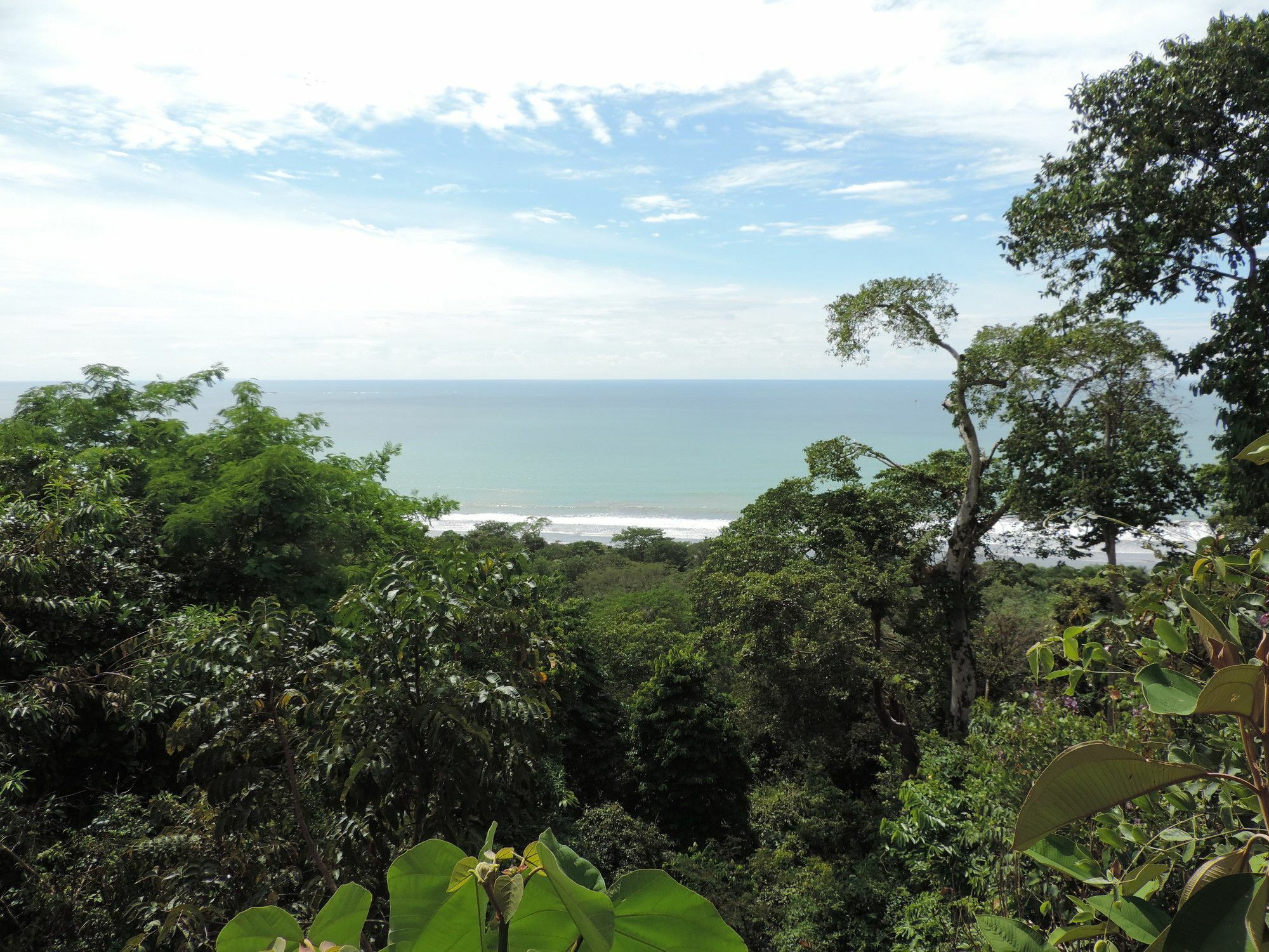 Ranchos Remo Lodge Uvita Buitenkant foto