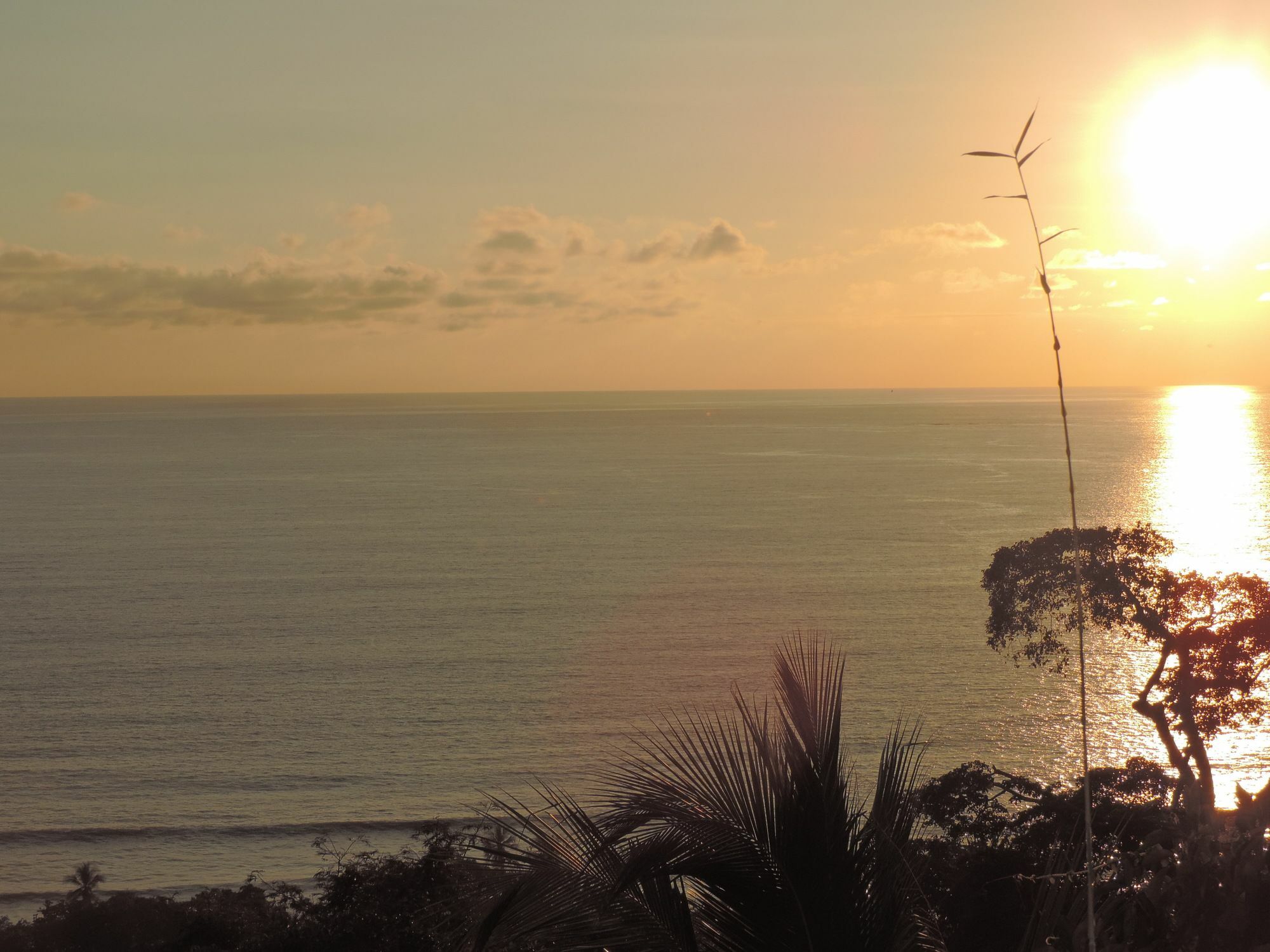 Ranchos Remo Lodge Uvita Buitenkant foto